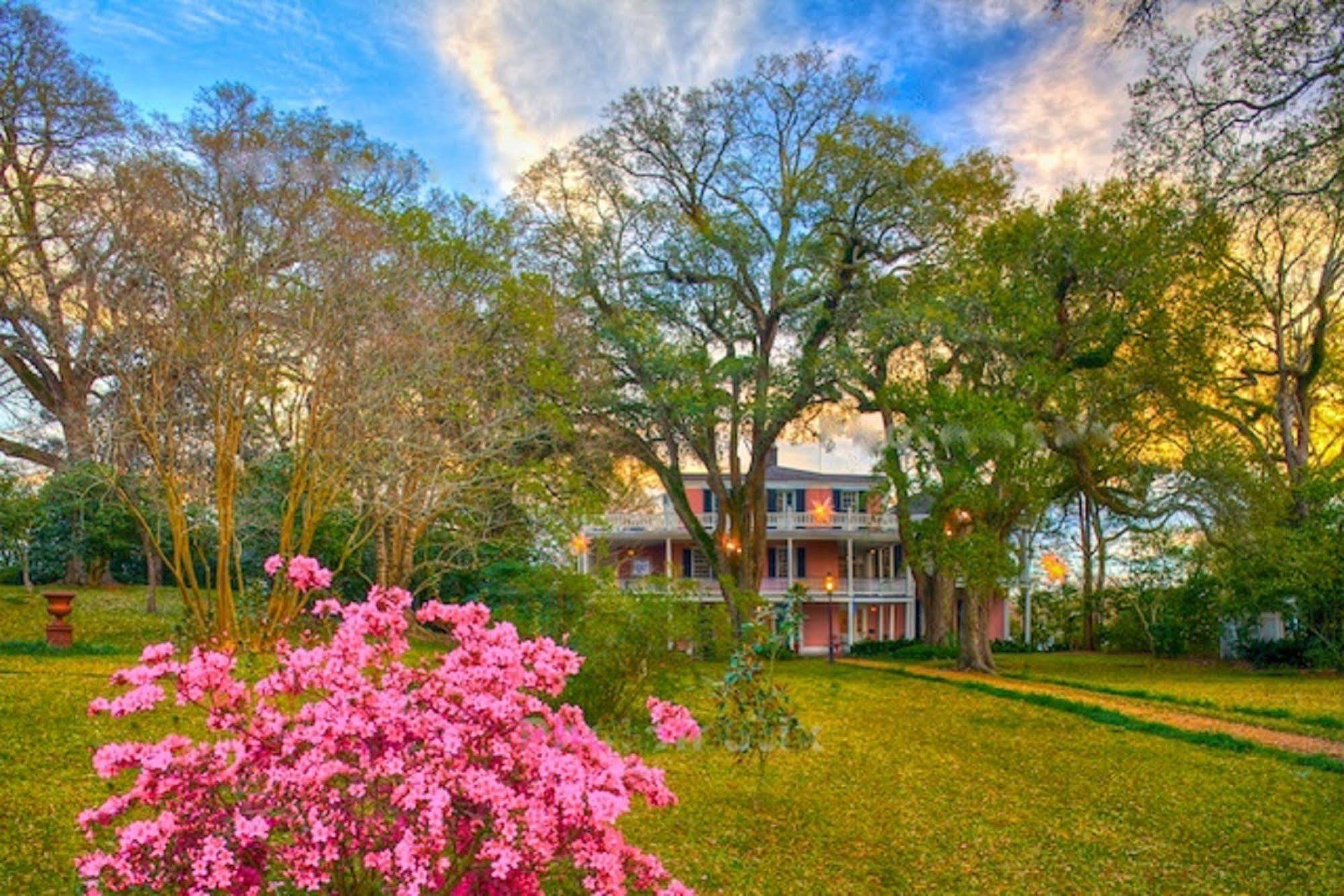 The Elms Bed And Breakfast Natchez Esterno foto